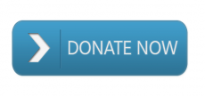Generic donate button 3