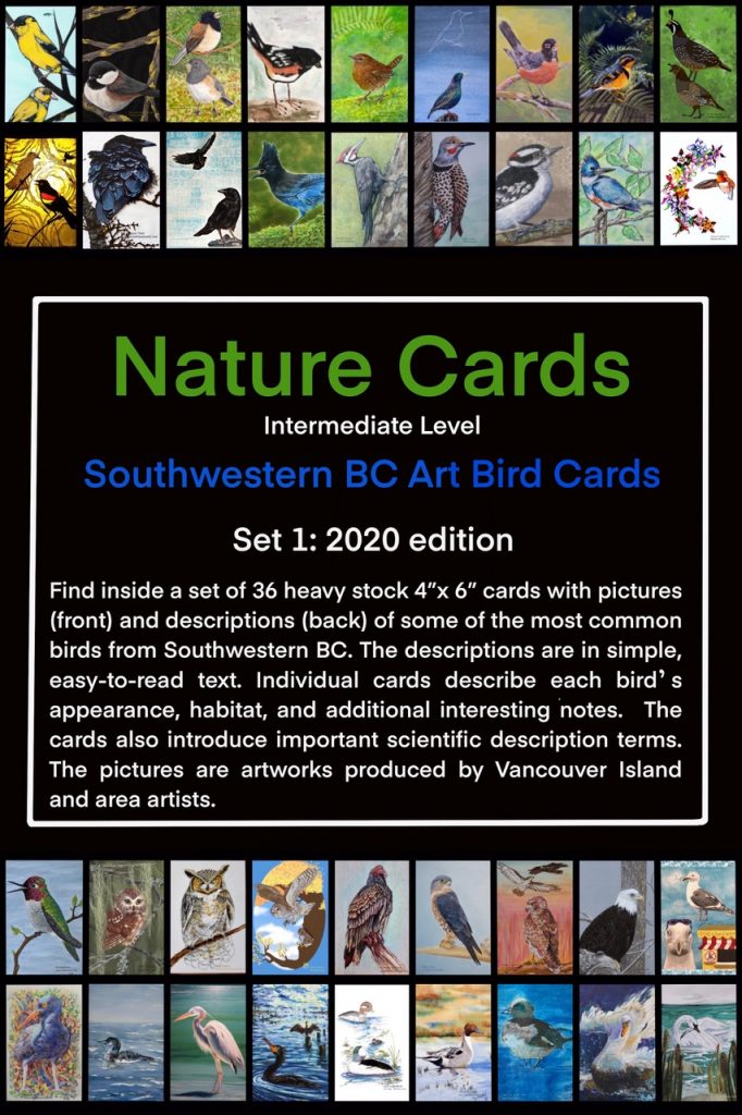 Nature Cards - bird cards